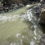 Gallery Thumbnail 1